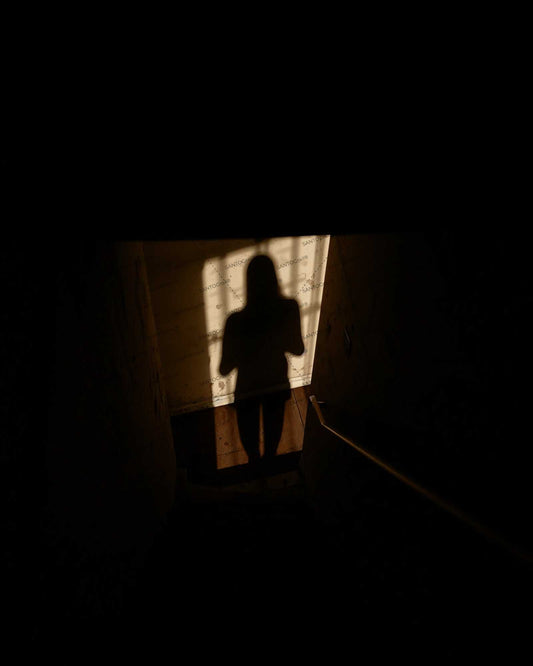 Ominious distorted shadow on staircase wall for suspense book cover. Ilustration for cover book. Noir.